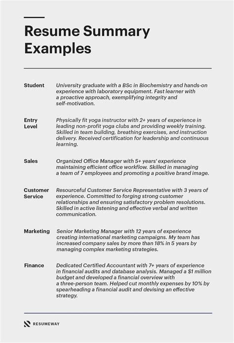 Professional Resume Summary Examples & Tips in 2022 | Resume summary examples, Resume summary ...