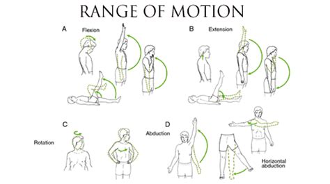 Range Of Motion Testing Charts