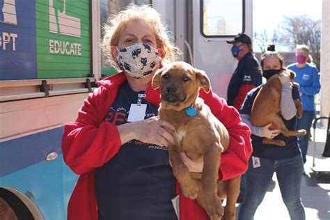 Providing Disaster Relief to Texas Animal Shelters | Our Latest Rescues ...