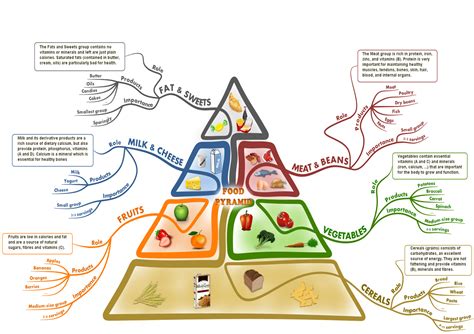 The food pyramid revisited with a mind map | Mind map, Food pyramid ...