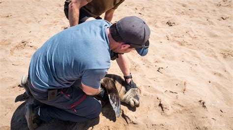 Non-profit organisation | Ocean Conservation Namibia | Erongo Region