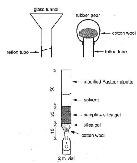 Apparatus for Pasteur pipette extraction of solid samples. Lengths in ...