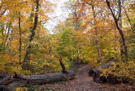 17 best spots to see fall foliage in NYC | 6sqft