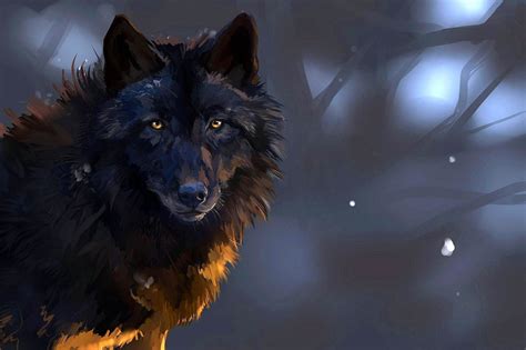 Dark Wolf HD Wallpapers - Wolf Background Images