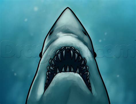 How to Draw Jaws, Step by Step, Movies, Pop Culture, FREE Online ... | Great white shark drawing ...