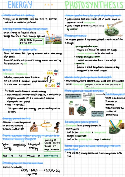 Energy and photosynthesis - ENERGY an ☐ PHOTOSYNTHESIS conservation of energy Sugar production ...