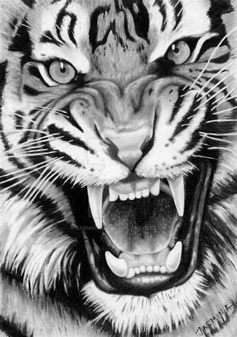 Roaring Tiger - Graphite Drawing by JasminaSusak | Tiger tattoo design, Tiger face drawing ...