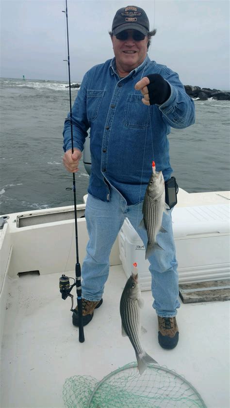 Hickory Shad - Ocean City MD Fishing