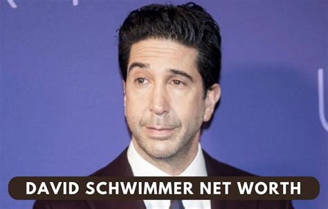 David Schwimmer Net Worth 2022: American Actor, Director, And Producer ...