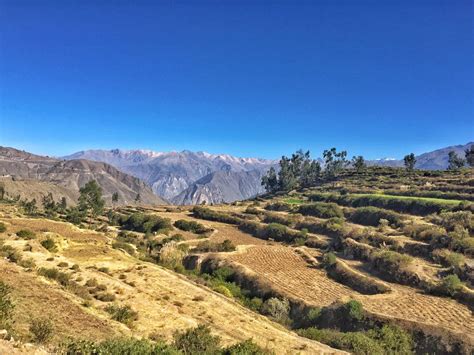 Colca Canyon - Independent trekking guide