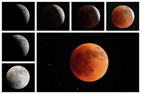 Blood Moon Eclipse In Stages Photograph by Paul Bickford - Fine Art America