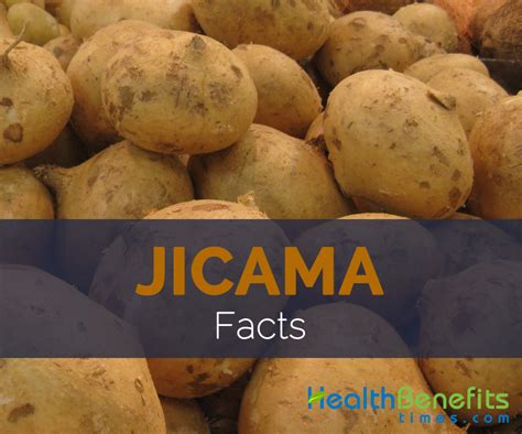 Jicama Facts and Nutritional value