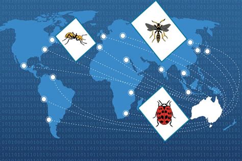 Invasive Insects: Risks and Pathways Project Report