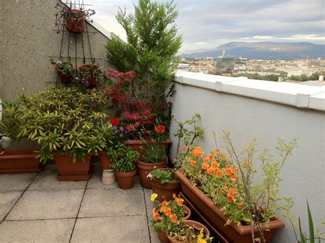 Terrasse | Plants