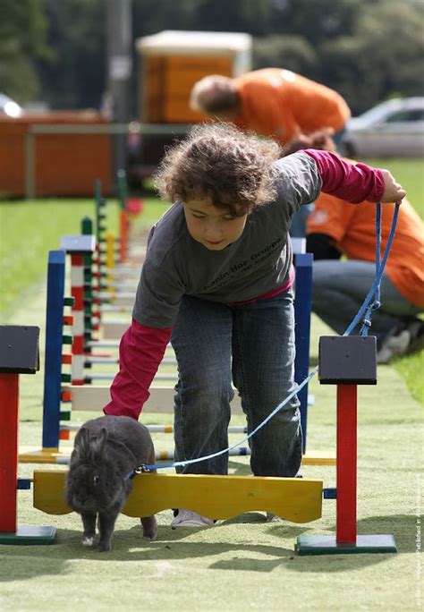 Rommerz Rabbit Hopping Competition in Germany | Amusing Planet