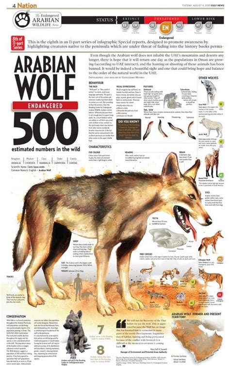 Arabian Wolf | Visual.ly | Endangered species art, Animal infographic ...