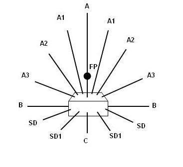 Basic Arrangement Forms In Floral Designing | Flower arrangement designs, Flower arrangements ...