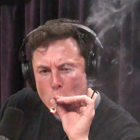 Elon Musk Smokes Weed With Joe Rogan: What to Watch Instead