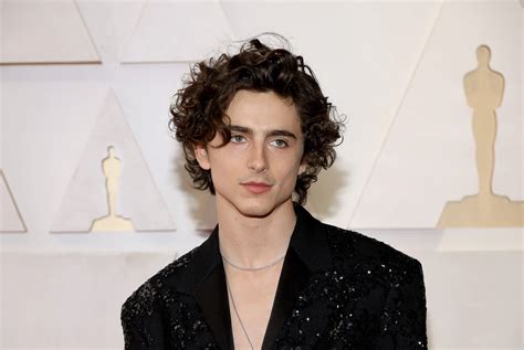 Timothée Chalamet Went Shirtless on the Oscars 2022 Red Carpet—See Pics ...