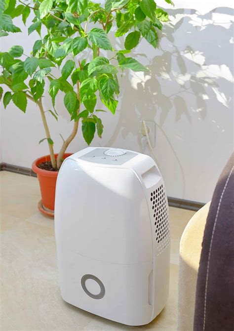 7 Best Mini Dehumidifiers | Temperature Master