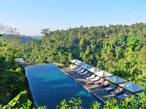 Alila Ubud - From Here to Infinity