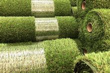 Artificial Grass Free Stock Photo - Public Domain Pictures