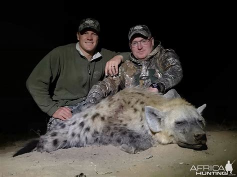 Spotted Hyena Hunting South Africa | AfricaHunting.com