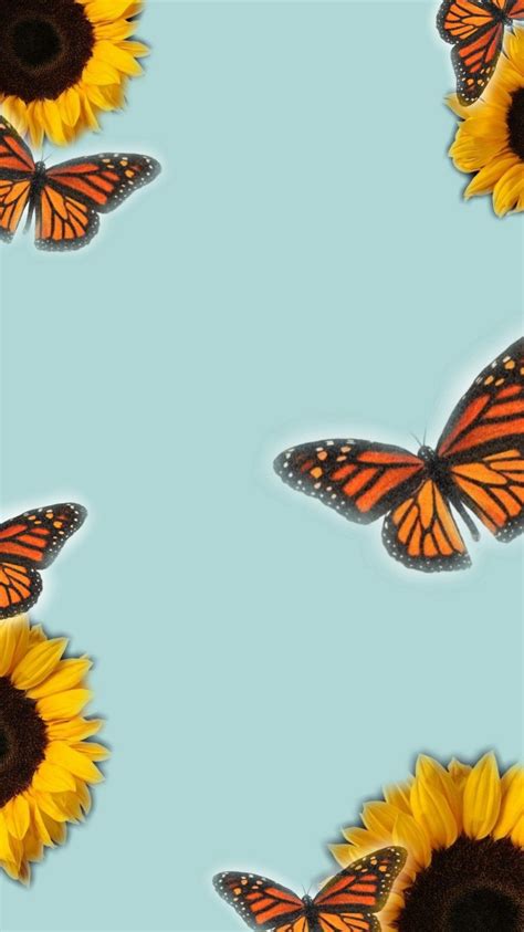 summer phone wallpaper | Butterfly wallpaper iphone, Aesthetic iphone wallpaper, Sunflower wallpaper