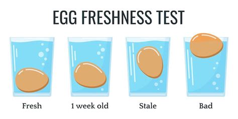 How To Correctly Store Fresh Eggs: The Complete Guide | Chickens And More