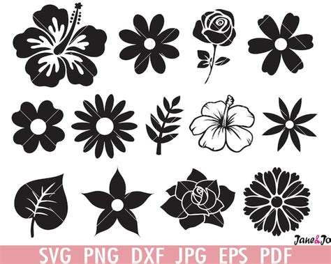 Bloemen SVG Bundel Bloemen Clipart Bladeren svg Roos SVG | Etsy Nederland