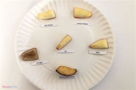 Apple Oxidation Science Experiment [Free Worksheet] | Mombrite