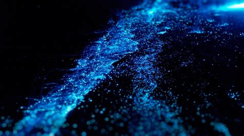 Best Bioluminescent Beaches In The World - Traveller's Elixir