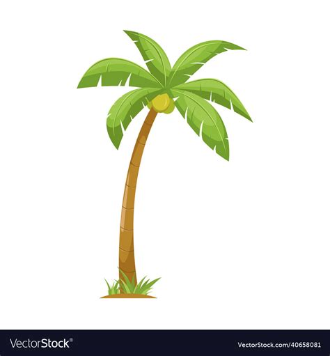 Cartoon coconut tree Royalty Free Vector Image