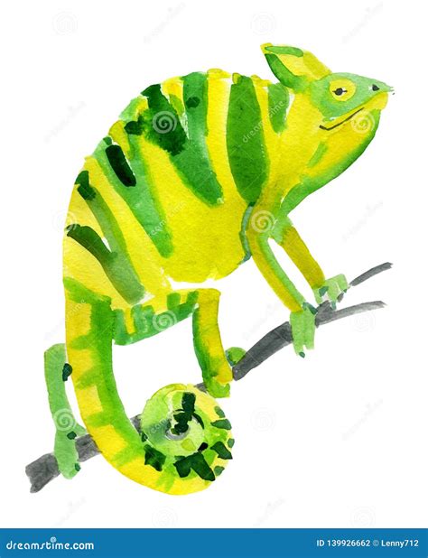 Watercolor Illustration of Chameleon in White Background. Stock Illustration - Illustration of ...