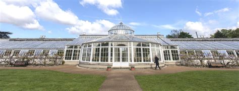 Saving our precious Conservatory for future generations to enjoy - Chiswick House & Gardens