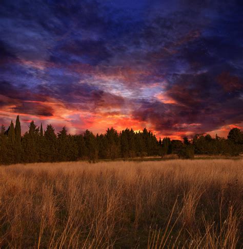 Meadow at Sunset Premade Background STOCK by KijaniKinyonga on DeviantArt