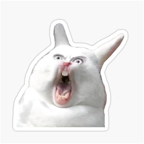 "Silly Angry Bunny Screaming Rabbit Face Funny Meme" Sticker for Sale ...