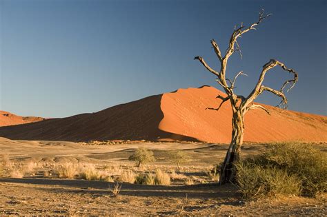 Namibia Rundreisen: Gruppenreise & Privat | Vögele Reisen