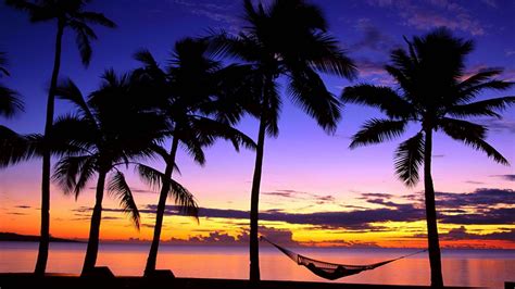 Tropical Beach Sunset Hammock Wallpapers HD / Desktop and Mobile ...