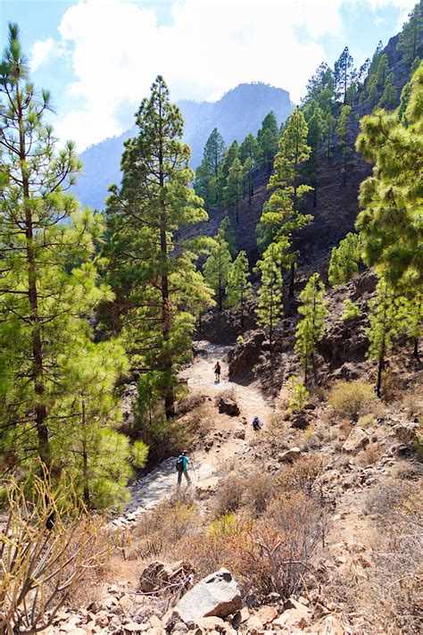 Hiking in Gran Canaria: the island’s best walks - Lonely Planet