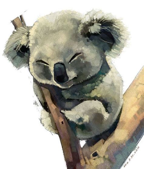 Risultati immagini per koala illustration | Koala illustration, Koala drawing, Animal drawings