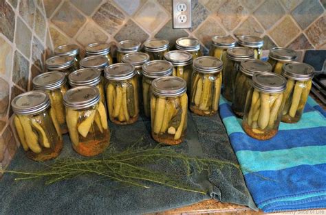 Canning Pickles 101 | A Healthy Slice of Life