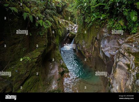 The beautiful Costa Rica Rainforest, waterfalls and blue river in the middle of the jungle Stock ...