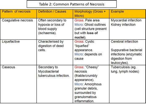 II. Cell Injury and Death – NUS Pathweb :: NUS Pathweb