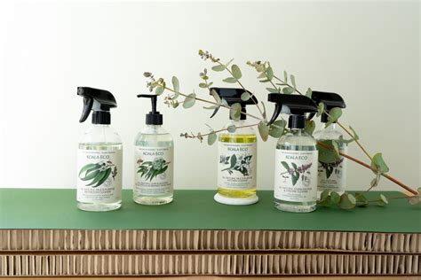 These eco friendly cleaning products are under $10, and they work ...