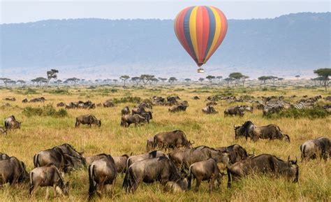 3 Days Masai Mara Balloon Safari | Kenya Safari Tours