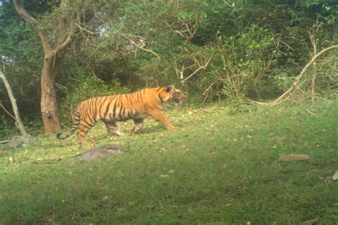 Tamil Nadu’s 18th wildlife sanctuary comes up in Erode