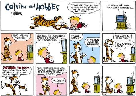 Calvin and Hobbes Comic Strips - Calvin & Hobbes Photo (2509602) - Fanpop