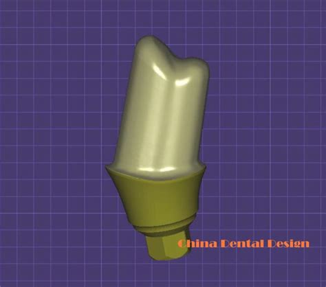 China Singel Custom Abutment Design Service Suppliers and Providers ...