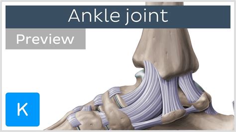 Ankle Instability - Carolina Regional Orthopedics